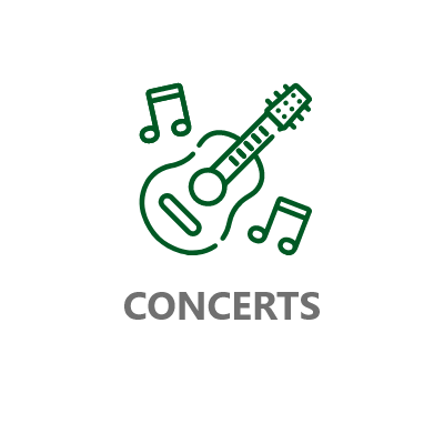 concerts icon