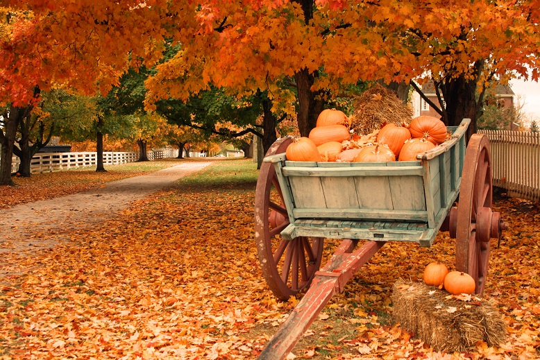 portable toilets on farms for fall activities